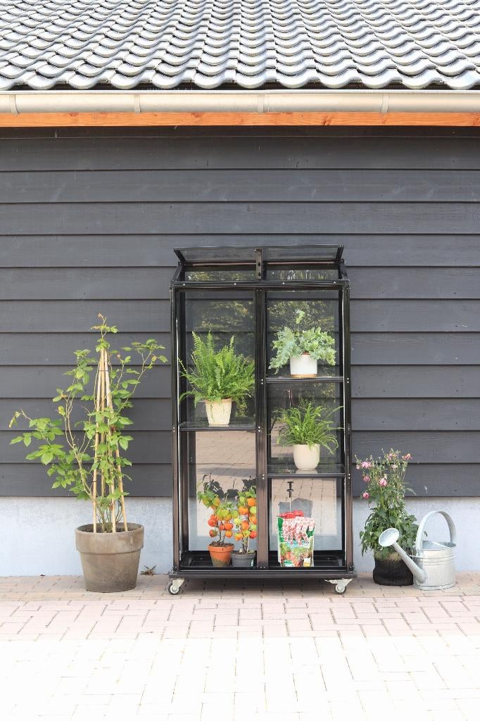 Luxe Verrijdbare Muurkas – Pikasso – Kant-en-klaar geleverd, Tuin en Terras, Kassen, Muurkas, Nieuw, Ophalen of Verzenden, Glas
