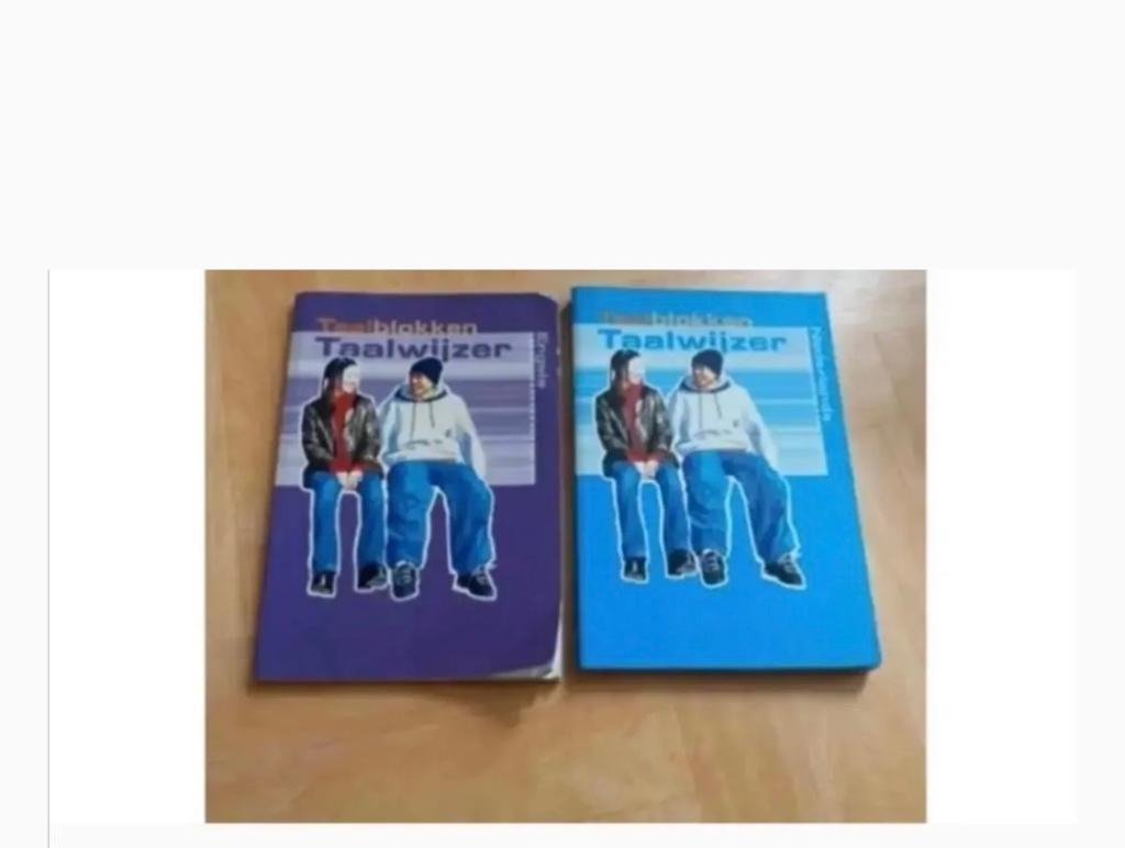 Boek schoolboek Taalblokken taalwijzer engels nederlands, Boeken, Schoolboeken, Ophalen of Verzenden, Gelezen, Overige niveaus