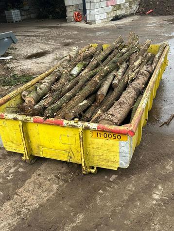 Openhaarthout kachelhout haardhout brandhout beschikbaar voor biedingen