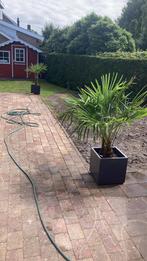 Trommelsteen, Tuin en Terras, Tegels en Klinkers, Ophalen, Gebruikt, Overige materialen, Terrastegels