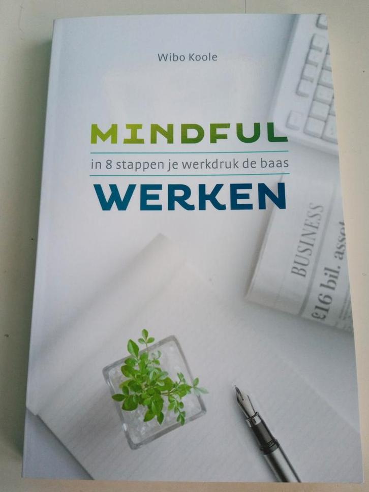 Wibo Koole - Mindful werken, Boeken, Wetenschap, Zo goed als nieuw, Sociale wetenschap, Ophalen of Verzenden