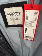Damescolbertje Esprit maat 40 grijze ruit! Ongebruikt., Ophalen of Verzenden, Nieuw, Maat 38/40 (M), Grijs