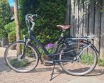 Batavus Inspire Bolero damesfiets framehoogte 53 cm, Fietsen en Brommers, Fietsen | Dames | Damesfietsen, Ophalen, 53 tot 56 cm