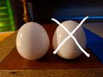 Een wobble bal met geluid, Ophalen of Verzenden, Nieuw, Haken, Overige typen