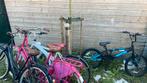 4 fietsen, Eén persoon, Cadeaubon, Overige typen