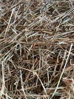 Hooi rollen, Dieren en Toebehoren, Ophalen, Vee