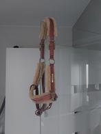 Eskadron halster maat full, Dieren en Toebehoren, Ophalen