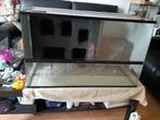Terrarium, Dieren en Toebehoren, Reptielen en Amfibieën | Toebehoren, Ophalen, Gebruikt, Terrarium of Paludarium