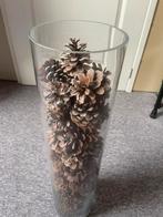 Dennenappels, Hobby en Vrije tijd, Knutselen, Ophalen