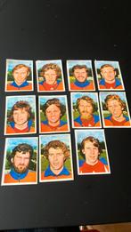 Ijsselmeervogels panini Vanderhout 1975-1976, Ophalen of Verzenden, Gebruikt, Buitenlandse clubs, Poster, Plaatje of Sticker