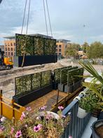 Planten bakken kompleet met groene hagen er in, Ophalen of Verzenden, Hout, Balkon