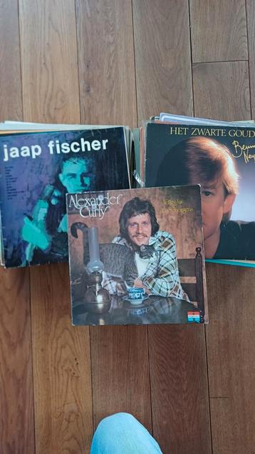 Verzameling lp's vinyl Nederlandse artiesten 