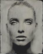 Gazing still cobra art, Ophalen of Verzenden