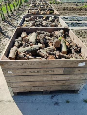 Appelhout/Haardhout  beschikbaar voor biedingen