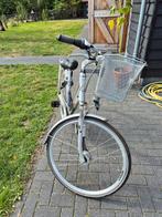 Union Delta damesfiets met fietsmand 7v, 53 tot 56 cm, Versnellingen, Zo goed als nieuw, Ophalen