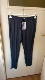 Sportbroek shamp zowel voor dames en heren xl, Kleding | Heren, Shamp, Ophalen of Verzenden, Hardlopen of Fietsen, Grijs