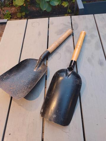 2 Kolen schepjes beschikbaar voor biedingen
