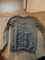 Grijs gebreid vestje met glitter erdoor maat 134-140 hema, Kinderen en Baby's, Kinderkleding | Maat 134, Gebruikt, Meisje, Trui of Vest