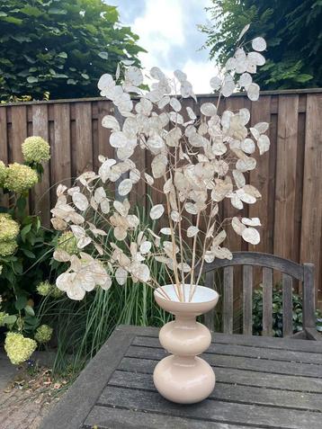 Droogbloemen met vaas beschikbaar voor biedingen