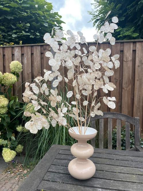 Droogbloemen met vaas, Huis en Inrichting, Woonaccessoires | Vazen, Zo goed als nieuw, Overige kleuren, Minder dan 50 cm, Aardewerk of Porselein