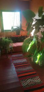 Recreatiewoning te koop Anderegg's camping Well Maasduinen, Vakantie, Vakantiehuizen | Nederland, In bos, Limburg, Recreatiepark