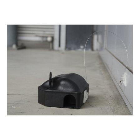 Voerdoos anker 50 cm, Diversen, Overige Diversen, Nieuw, Ophalen of Verzenden