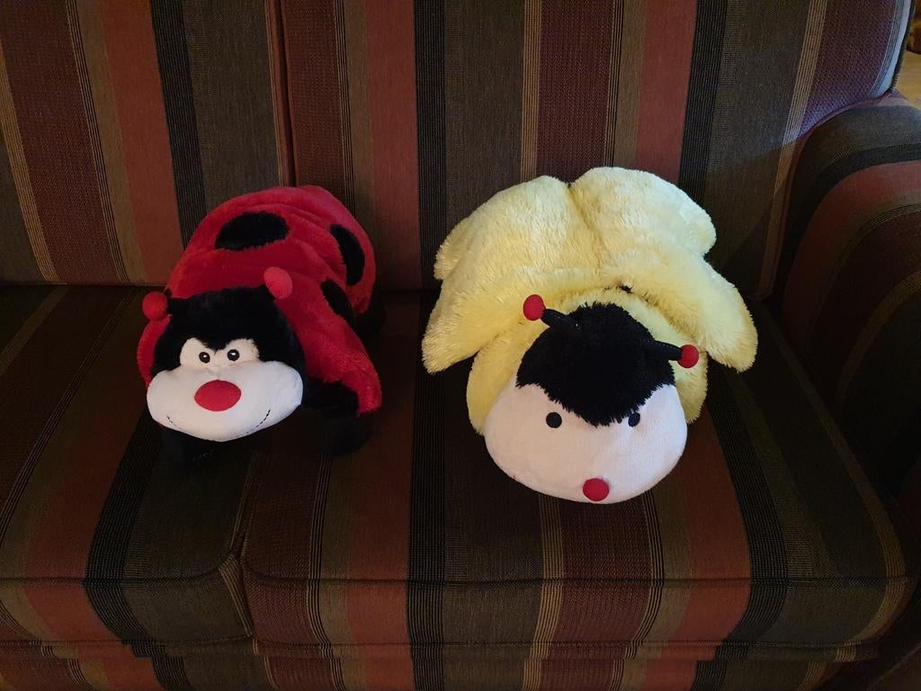 Leuke kussens/knuffels - lieveheersbeestje en bij, Ophalen of Verzenden, Zo goed als nieuw, Overige typen