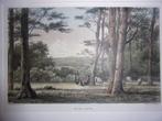In de Lutte. Originele Gekleurde Litho Schipperus 1876, Ophalen of Verzenden