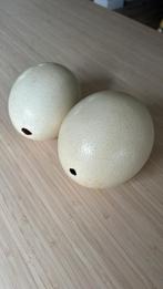 Struisvogel eieren, 25cm, Ophalen, Zo goed als nieuw
