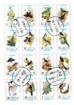 B 10 - 2 blokje vogels Ajman gestempeld, Ophalen of Verzenden, Gestempeld, Noord-Amerika