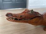 Opgezette alligator / krokodil Taxidermie, Dieren en Toebehoren, Overige soorten