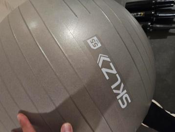 SKLZ Fitnessbal 55cm beschikbaar voor biedingen