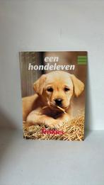 Een hondenleven - Friskies boekje, Boeken, Dieren en Huisdieren, Ophalen of Verzenden, Zo goed als nieuw