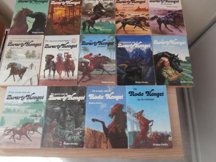 De Zwarte en Rode Hengst., Boeken, Kinderboeken | Jeugd | 13 jaar en ouder, Gelezen, Ophalen of Verzenden