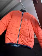 Ski jas maat 176, Ophalen of Verzenden, Zo goed als nieuw, Jongen of Meisje, Overige typen