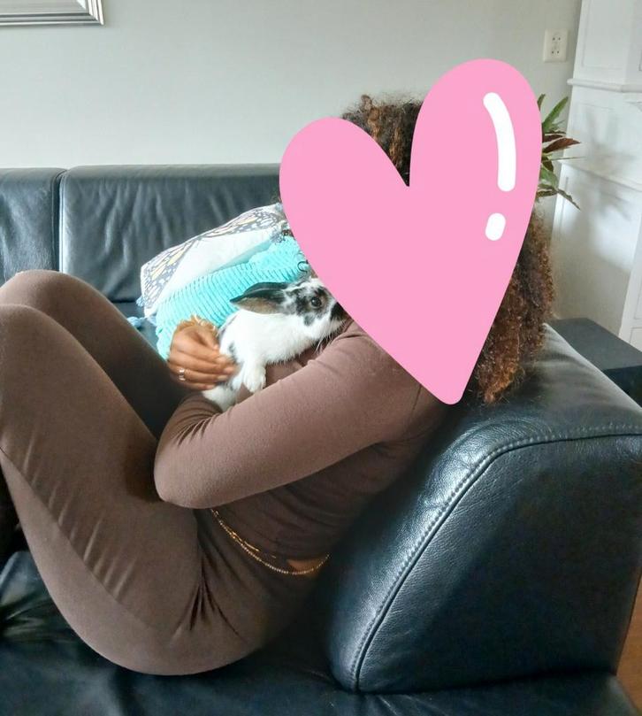 Lief vlinderkonijntje 2 mnd, Dieren en Toebehoren, Konijnen, Dwerg, Mannelijk