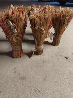 Droogbloemen Boeket - Natuurlijke Decoratie, Ophalen of Verzenden, Nieuw