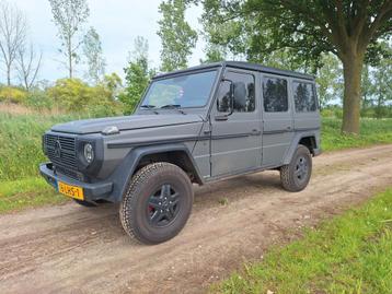 MERCEDES-BENZ G-KLASSE 1981 GD TURBODIESEL OLDTIMER G 300GD  beschikbaar voor biedingen