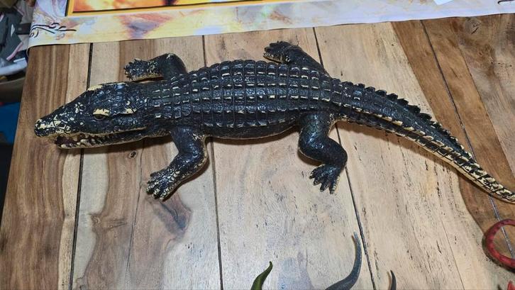 60 cm aligator, Kinderen en Baby's, Speelgoed | Overig, Zo goed als nieuw, Jongen of Meisje, Ophalen of Verzenden