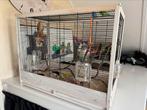 Ferplast 6 guillietta vogelkooi evt met tamme grasparkieten, Ophalen, Zo goed als nieuw, Hout, Vogelkooi