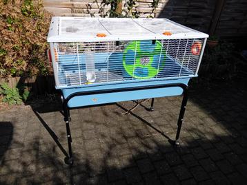 Complete Hamsterkooi op Onderstel | Incl. Accessoires! beschikbaar voor biedingen