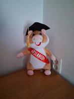 Albert heijn hamster geslaagd, Ophalen of Verzenden, Zo goed als nieuw