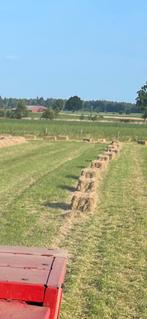 Kleine pakken Hooi te koop, Dieren en Toebehoren, Stalling en Weidegang