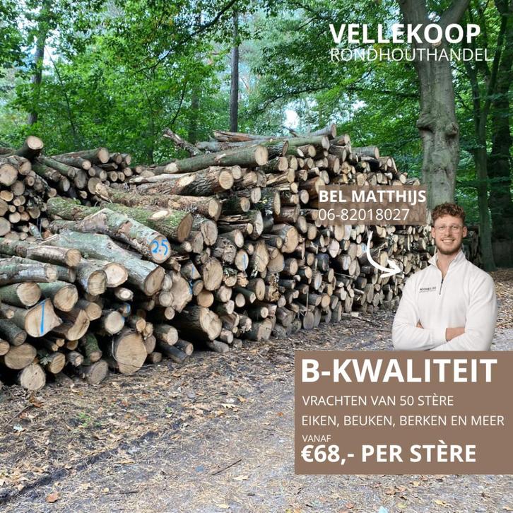 B-kwaliteit stamhout | eik, beuk, berk en meer, Tuin en Terras, Haardhout, Stammen, Eikenhout, 6 m³ of meer, Verzenden