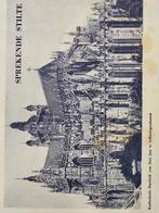 Sprekende stilte ., Ophalen of Verzenden, Gelezen, Overige onderwerpen, Publicam - Hilversum