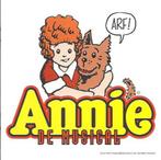 CD Annie De Musical, Cd's en Dvd's, Ophalen of Verzenden, Zo goed als nieuw