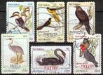 026 Australië 2020 Bird Emblems s/a serie, Postzegels en Munten, Postzegels | Oceanië, Verzenden, Gestempeld