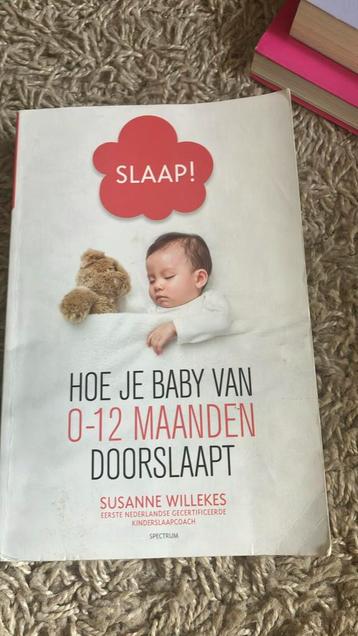 Susanne Willekes - Slaap! beschikbaar voor biedingen