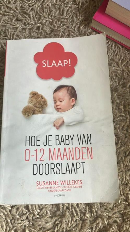 Susanne Willekes - Slaap!, Boeken, Zwangerschap en Opvoeding, Zo goed als nieuw, Opvoeding tot 6 jaar, Ophalen of Verzenden