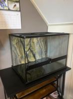 ExoTerra Terrarium (60x45x45) incl. benodigdheden, Dieren en Toebehoren, Reptielen en Amfibieën | Toebehoren, Ophalen, Zo goed als nieuw